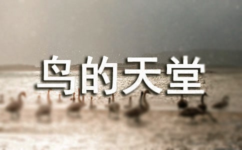 꼉ZĽ̰B