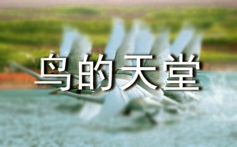 꼉(j)Z(y)B(nio)ý̰O(sh)Ӌ(j)