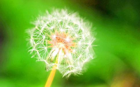 ѹӢķNӃ(yu)