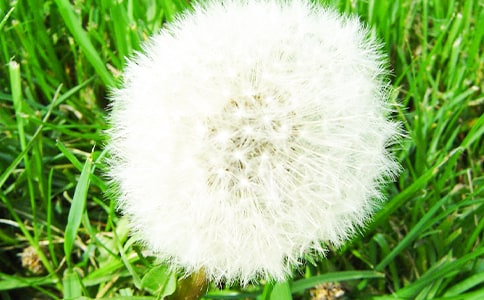 ѹӢąR15ƪ