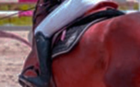 TR