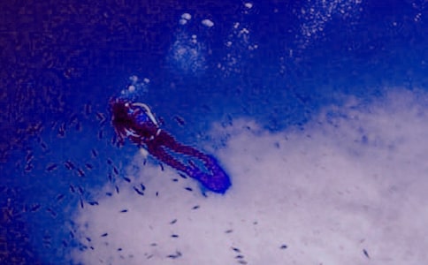 Ýˮͬ11ƪ