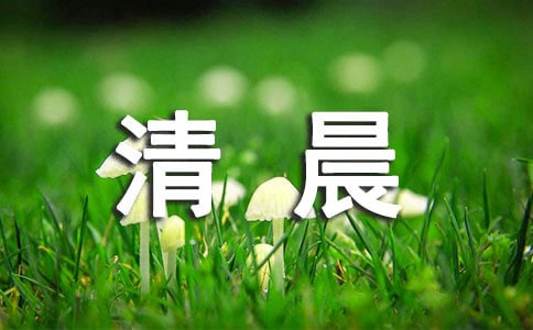 峿Fõľӣx100䣩