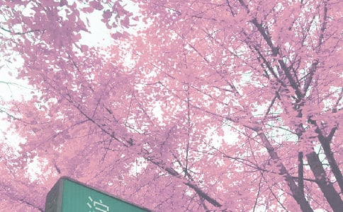 2023＾̌W(xu)Ӌ 