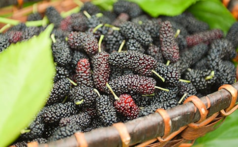 ժɣĺϼ15ƪ