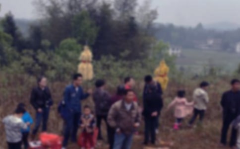 ĹԒ}7ƪ