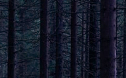 ɭַ؟(z)ąR(10ƪ)