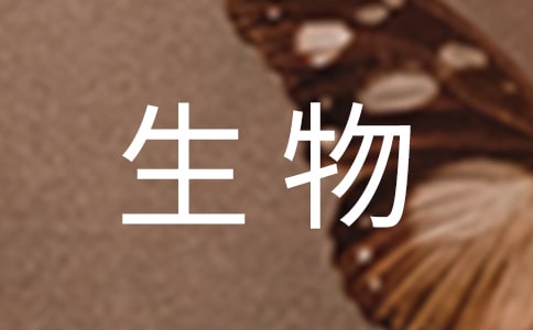 꼉̌W(xu)Ӌ\4ƪ