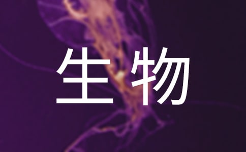 꼉(j)σ(c)̌W(xu)Ӌ(j)ͨ15ƪ