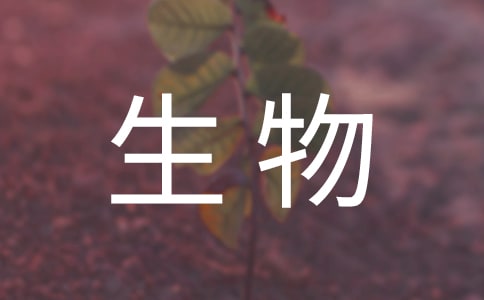  ̌W(xu)Ӌ(j)