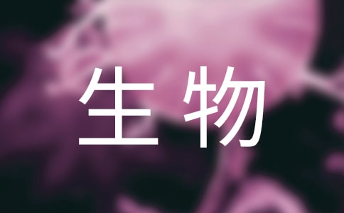 꼉(j)̌W(xu)Y(ji)15ƪ