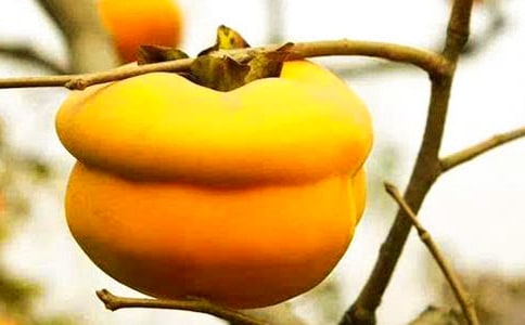 ٝӵľ