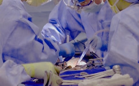 һg(sh)ă(yu)ģx12ƪ