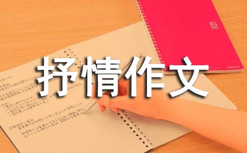 ڳL(zhng)·-