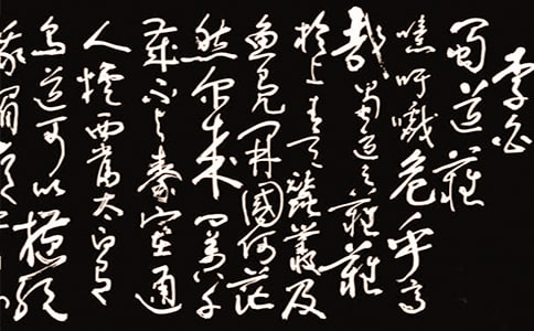 bxy_1600