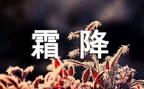 (jin)Ψ˪