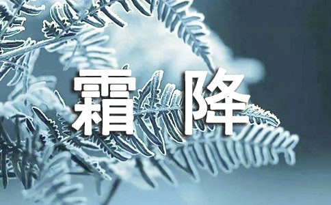 茑˪ľ茑˪ľԊ 