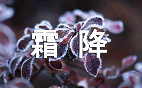 ˪Ψ[15ƪ]