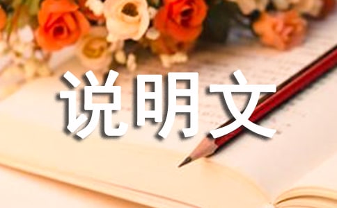 QɳɽӛȤ-꼉-f