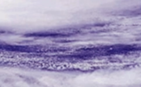 _L(fng)