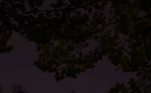 Â(g)Z䛅Rx145䣩