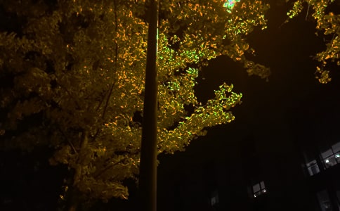 xZ䛼\72
