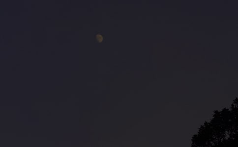 []СӺΜů