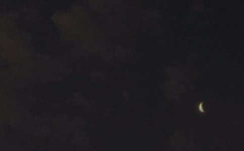 (sh)õZ\49