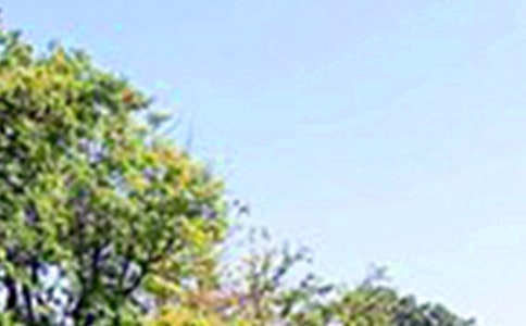 簲Z40侫x