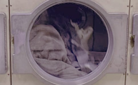 ϴ·(x15ƪ)