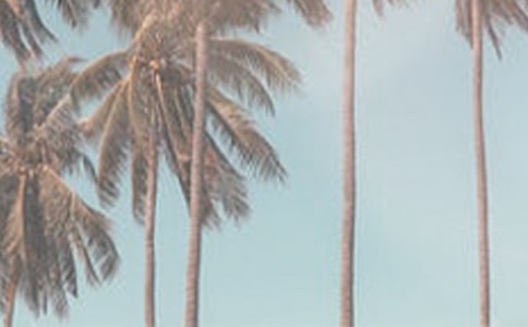 ϲgļ