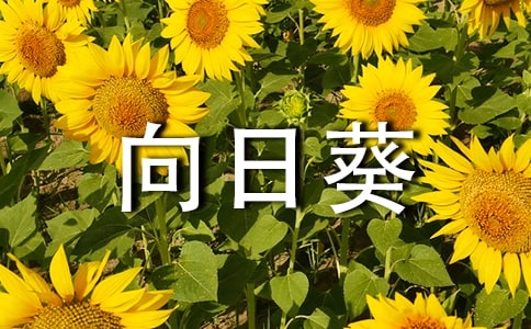 տĺϼ15ƪ
