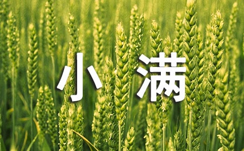 СMZ䛴ȫͨ60䣩