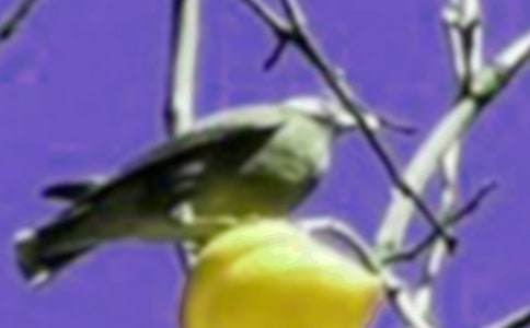 СBvU(xin)ӛģx15ƪ