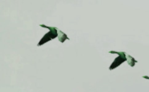 СB15ƪ(yu)㡿