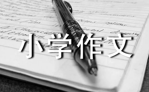 cͬСW(xu)