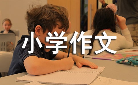 ׷(mng)·СW(xu)