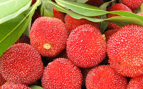 ժ÷ģx42ƪ