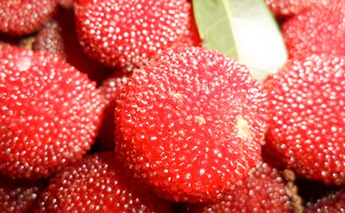÷(yu)(9ƪ)