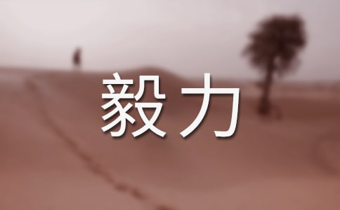 (yu)3ƪ