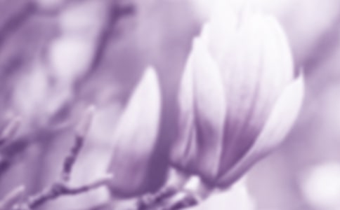 ٝmĽ(jng)Ԋ140