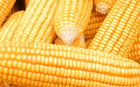 Źǜ