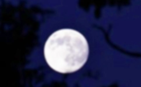 A֮ҹ5ƪ