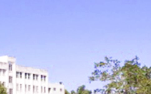 2023P(gun)簲Ȧ27
