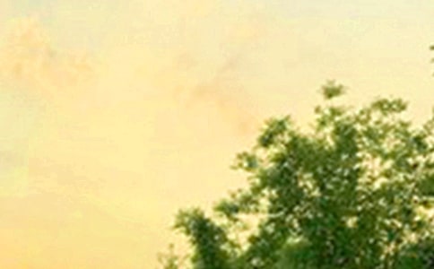 簲ľӡx15ƪ