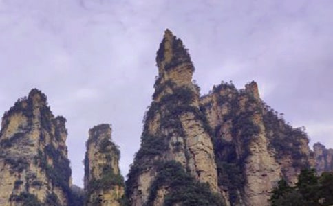 Ώҽ烞(yu)