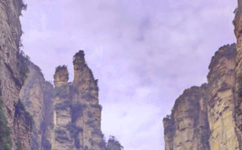 [T]ҽ15ƪ