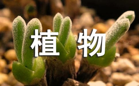 (ͨ)ֲ^ӛ