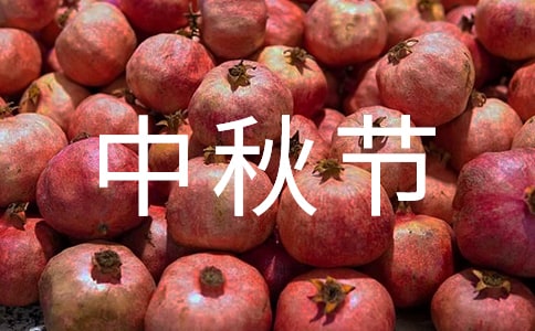 ﹝(ji)(yu)Ľ(jng)[15ƪ]