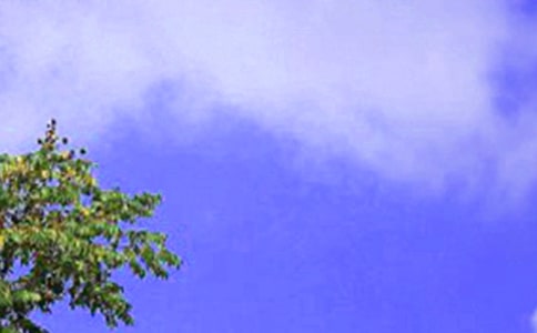 ЌW(xu)УZ
